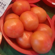토마토