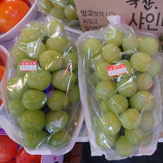 샤인머스캣