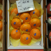 레드향