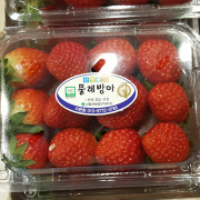 딸기