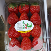 딸기