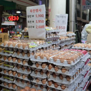 왕란